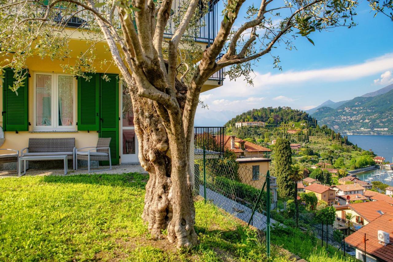 Olive Tree Lake View Apartment بيلاجيو المظهر الخارجي الصورة